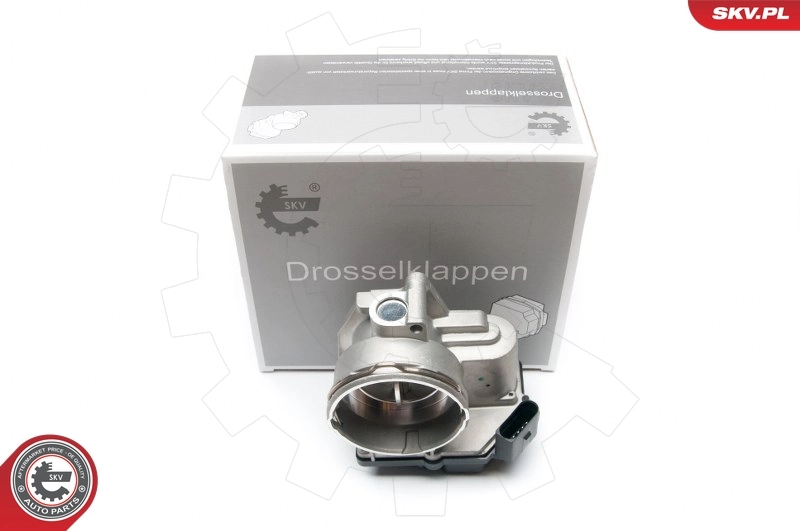 Throttle Body